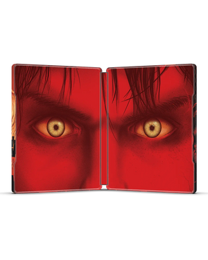 Warm Bodies 4K SteelBook®