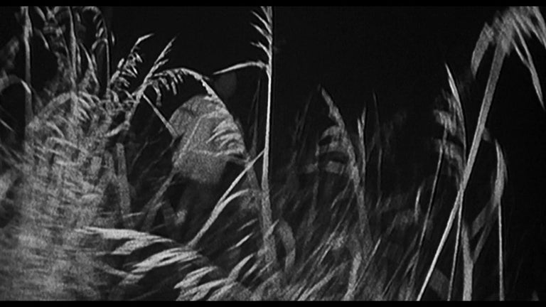 “THE WITCH IN THE WOODS: THE TRANSFORMATIVE POWER OF ‘THE BLAIR WITCH PROJECT’” (BY KERI O’SHEA)