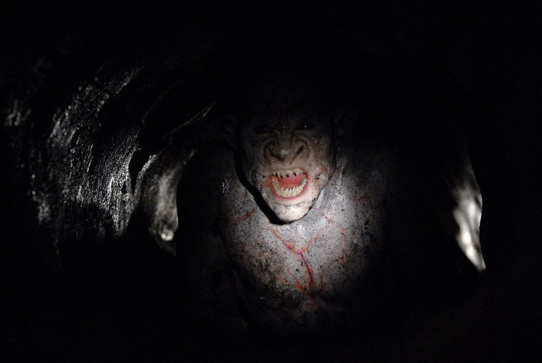 "The Way Out was the Wrong Turn: Going back down on The Descent 2" by Robert Meyer Burnett