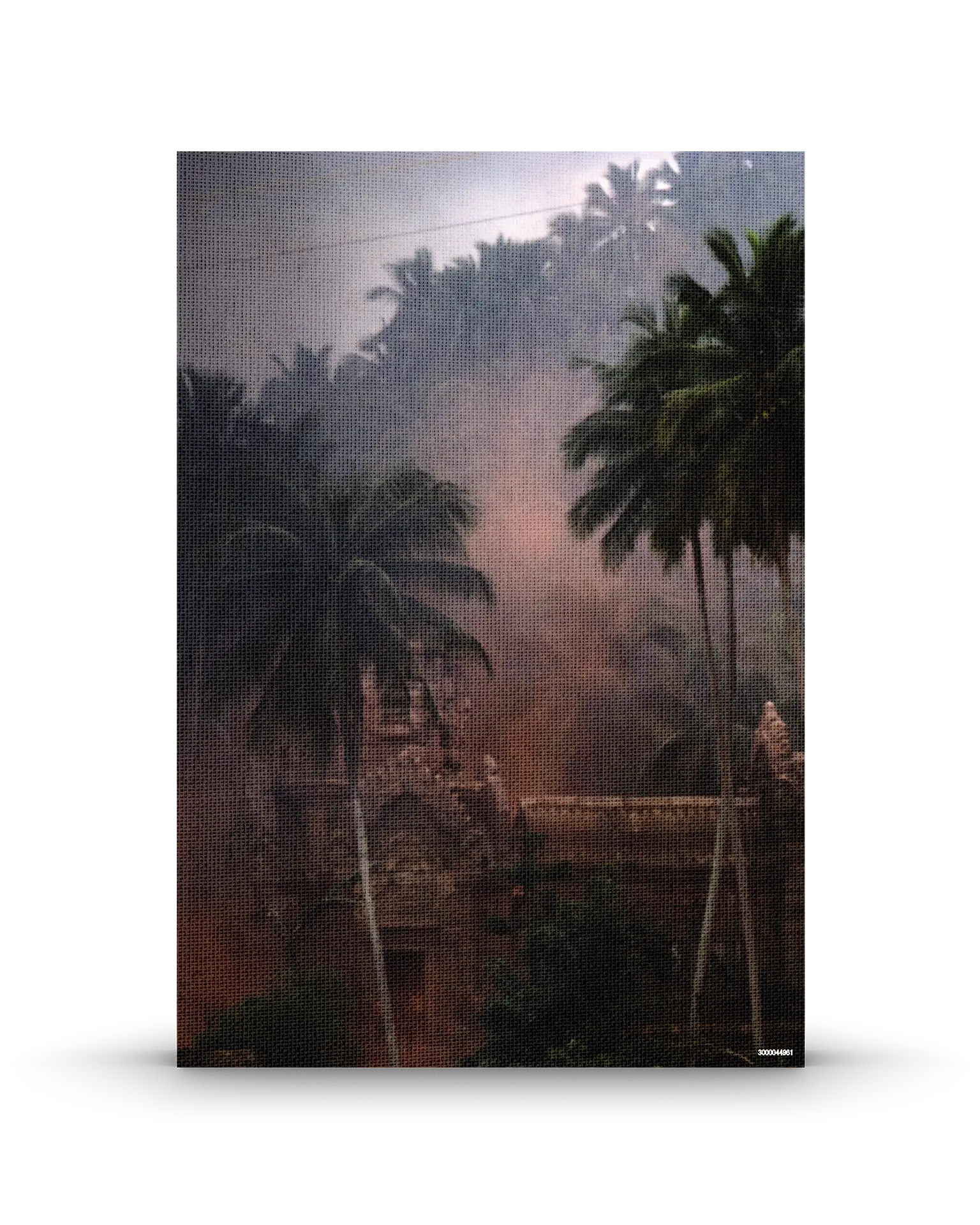 Hearts of Darkness: The Art of Eleanor Coppola 4K Collector's Edition